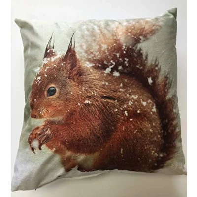 Image of Rapport Home Photographic Red Squirrel Snow Christmas Cushion Cover Scatter Square