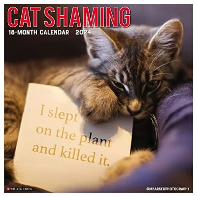 Image of Cat Shaming 2024 12 X Wall Calendar