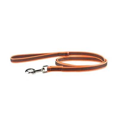 Image of Color &amp; Gray Super Grip Leash with Handle, and D Ring, 20 mm x 2 m, Orange