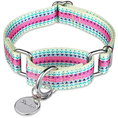 Image of Dazzber Martingale Collars for Dogs Soft Adjustable Dog Collar, Durable D ring Heavy Duty, Choke Collar Large Medium Small (Large, Cand Purple)