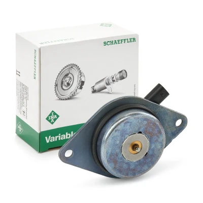 Image of 25195245 Central Magnet, camshaft adjustment INA 427 0018 10 VAUXHALL: ZAFIRA Mk3, Astra Mk6, Corsa OPEL: J Hatchback