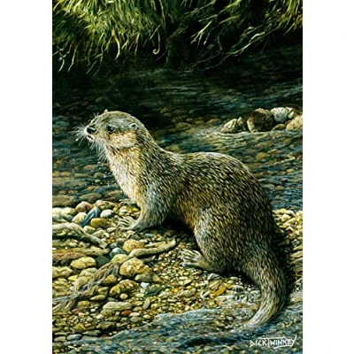 Image of Wildlife and nature greeting card. Otter by Dick Twinney.