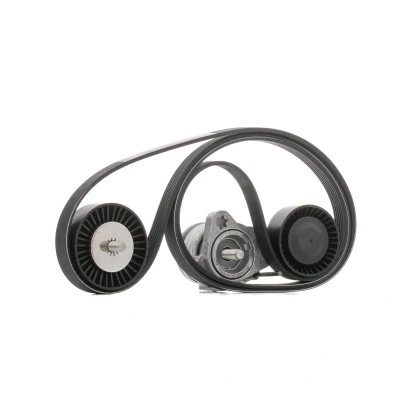 Image of VKM38250, VKM38251, VKMV6PK1990 V ribbed belt set SKF VKMA 38214 BMW: 3 Coupe, Saloon, 5 Touring