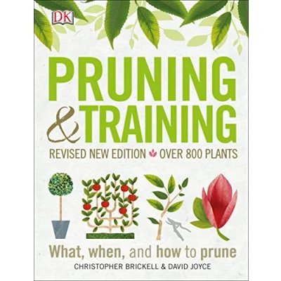 Image of Pruning and Training, Revised New Edition: What, When, How to Prune