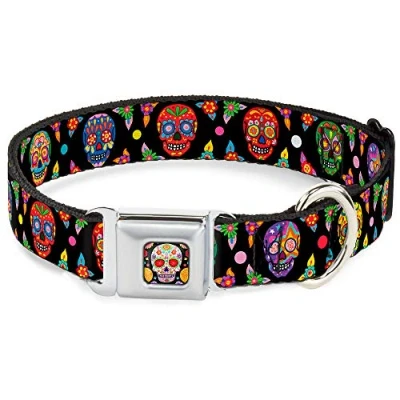 Image of Buckle Down Dog Collar Seatbelt Colorful Calaveras Black Multi Color 15 to 26 Inches 1.0 Inch Wide (DC WTY004 L)