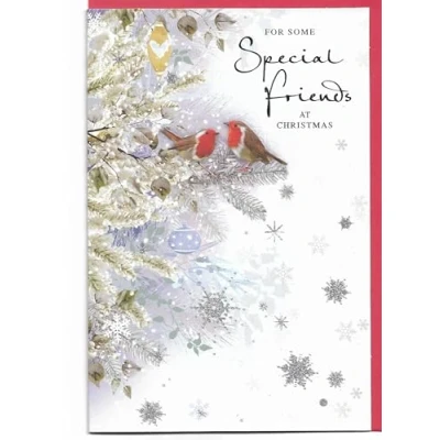 Image of Christmas Card For Special Friends 23 x 15 Cm (9 6 inches) Some At Robins