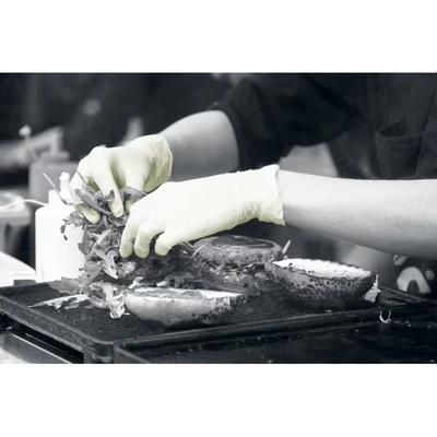 Image of A228 L Powdered Latex Gloves (Pack of 100)