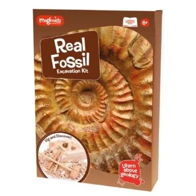 Image of MAGNOIDZ Fossil Dig Kit