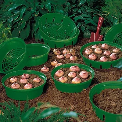 Image of Bulb Basket for Easy Planting and Lifting Leaving No Stray Bulbs Ideal any 15 x Baskets by Thompson Morgan