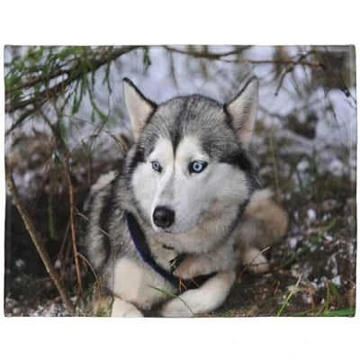 Image of YISUMEI Soft Fleece Blanket Siberian Husky, 150 x 200 cm Throw Suitable for Sofa or Bed