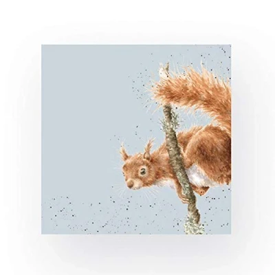 Image of Wrendale Designs Pack of 20 Cocktail Size &#039;The Acrobat&#039; Squirrel Napkins