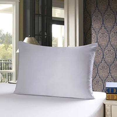 Image of townssilk Both Side 100% 19mm Silk Pillowcase Queen Size mulberry Pillow Case Cover with Hidden Zipper Silver