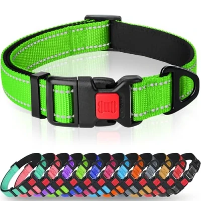 Image of Taglory Reflective Nylon Dog Collar with Safety Buckle, Adjustable Pet Collars Soft Neoprene Padding for Small Dogs, Green