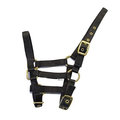 Image of Rhinegold Nylon Foal Headcollar Black