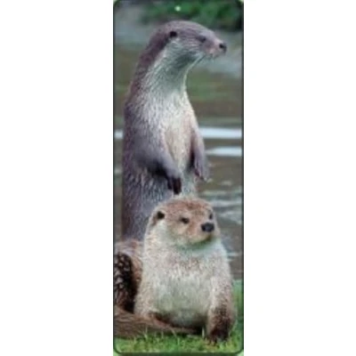 Image of sawley fine arts Scottish Otters Lenticular Bookmark Ruler