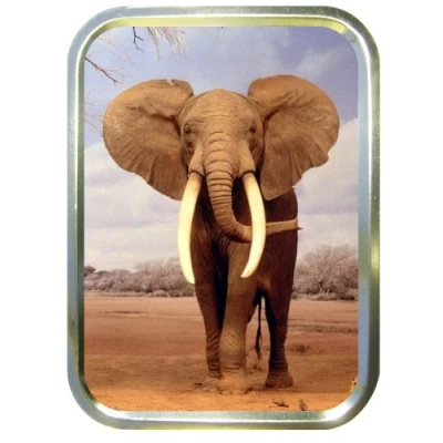 Image of GREY ELEPHANT 2oz GOLD TOBACCO TIN,BACCY TIN,PILL BOX, STASH CAN,STORAGE TIN