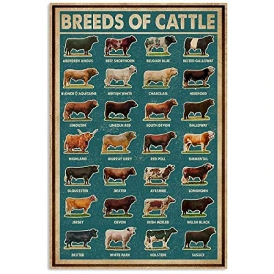 Image of TNND Retro Green Breeds Of Cattle Wall Art Paper Poster Vintage Decor Metal Sign 8x12 inches