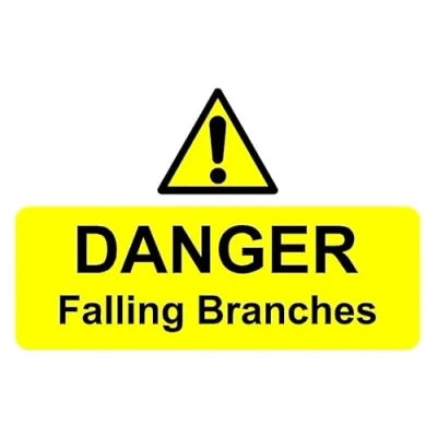 Image of Danger falling branches safety sign 1mm flexible Plastic (300mm x 200mm)
