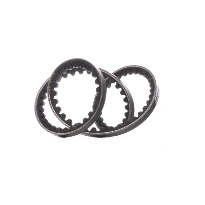 Image of 07119990151, 112118381, 32411266681, 32411268681, 32411276314 V Belt DAYCO 10A0825C 10,0mm 825,0mm BMW: 3 Saloon, Touring, Convertible