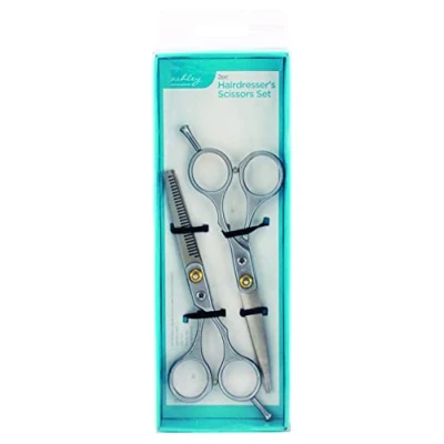 Image of 2pc Stainless Steel Hairdressing Scissors Set By Ashley