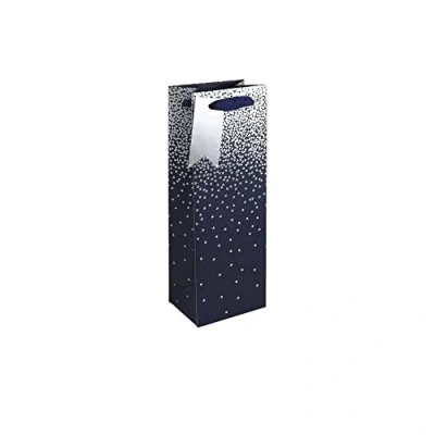 Image of Eurowrap Gift Bag Silver Ombre Bottle Pack of 6 30864 4C