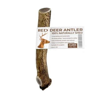 Image of Antlers for Dogs EXTRA LARGE, Sustainable, Naturally Shed, Dog Treats, Antler, Toys Large Dogs, Deer