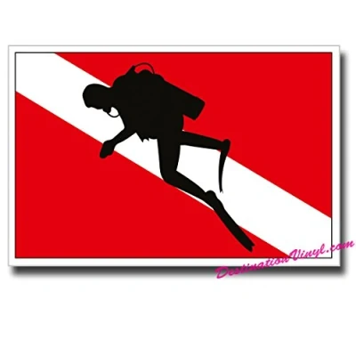 Image of 2 x Glossy Vinyl Stickers Scuba DAN Laptop Decal Padi Basi Diving Dive #0114 (As Shown.)