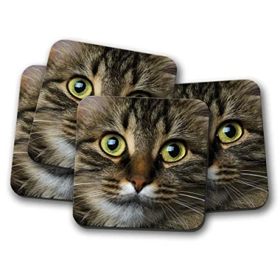 Image of 4 Set Cute Tabby Cat Coaster Kitten Cats Mum Sister Auntie Gran #14164