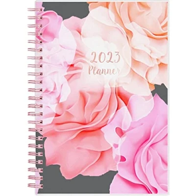 Image of Blue Sky 2023 Weekly and Monthly Planner, January December, 5&quot; x 8&quot;, Frosted Cover, Wirebound, Joselyn (142081)
