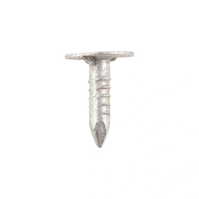 Image of TIMCO Galvanized ELH Clout Nails 30 x 3.00 Extra Clamping Perfect for Fitting Roofing Felt and plasterboard 1kg Bag Silver
