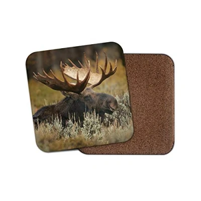Image of 1 x Wild Moose Coaster Animal Forrest Woods Antlers Animals Dad #16663