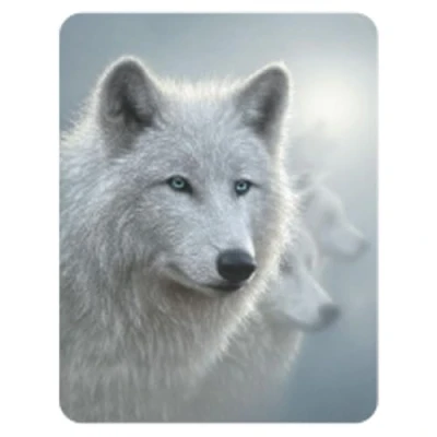 Image of 3D LiveLife Magnet White Out from Deluxebase. Lenticular Wolf Fridge Magnet. Magnetic decor for kids and adults with artwork licensed renowned artist, Collin Bogle