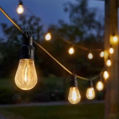 Image of Robins 20 Vintage Festoon Lights Plug in Low Voltage Warm White
