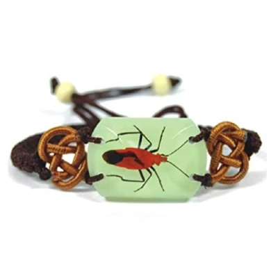 Image of Real Nature Red Stink Bug Beetle Bracelet GLOW IN THE DARK Insect Specimen Charm YL1603