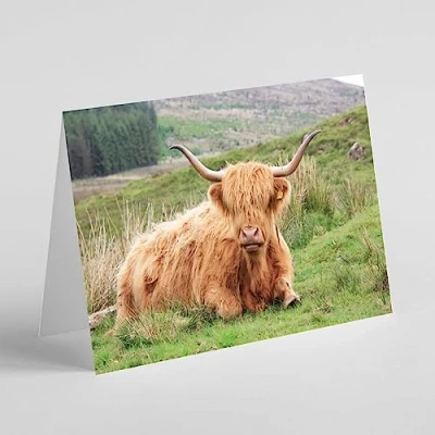 Image of Beebooh cards highland cow sitting down birthday card