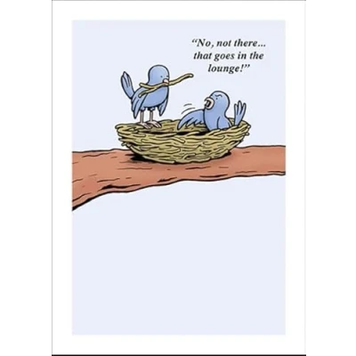 Image of Paperlink General Male Funny Birthday Card Birds Building A Nest Cartoon Sketch Eco Friendly &amp; Recyclable Printed in England