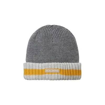 Image of Sealskinz Holkham Unisex Waterproof Cold Weather Striped Roll Cuff Beanie Hat for Everyday &amp; Outdoor Activities Warm Fleece Lining Three Layer Insulation Technology Grey