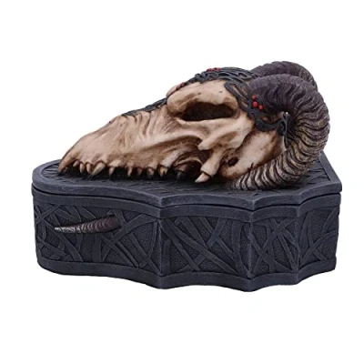 Image of Nemesis Now Dragon Skull Box (Monte Moore) Black, 17.7cm