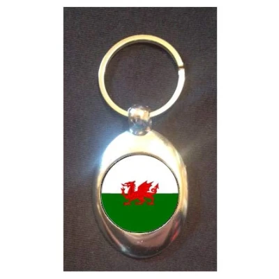 Image of DottsMusic Wales/Welsh Flag Dragon Design on Metal Keyring Token (£1 Coin)