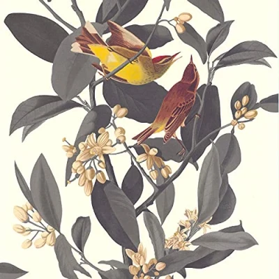 Image of Lutèce Bird Branch Wallpaper Dark Grey Vinyl on Non Woven 51175509 Bedroom, Living Room, Hallway, Multicoloured