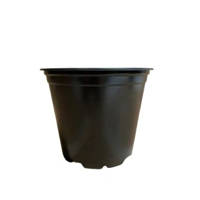 Image of Gone Potty 1 LITRE (13CM) PLASTIC PLANT POT (x50)