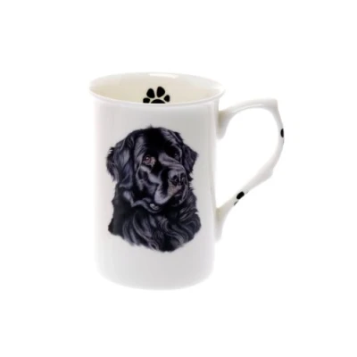 Image of (BB40) SINGLE BONE CHINA BEAKER/ MUG/CUP Newfoundland dog KIRSTY JAYNE
