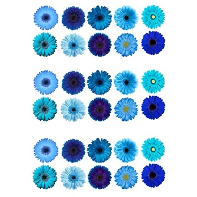 Image of 30 Gorgeous Mixed Blue Gerbera Flower Edible Wafer Paper Cake Toppers Decorations