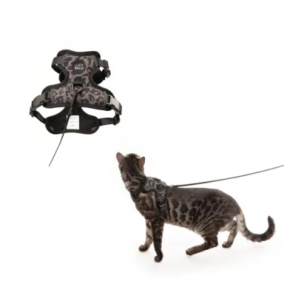 Image of LucyBalu® Explorer Cat Harness with Lead, Escape Proof AirTag Compartment, Chest Safety Lead for Cats, Black, M/L