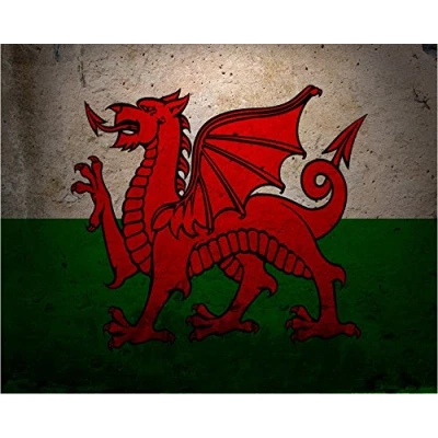 Image of Welsh Wales Dragon 6x8inch METAL VINTAGE STYLE NOSTALGIC ADVERTISING WALL SIGN
