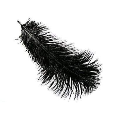 Image of 5 x 9 12&quot; Black Ostrich Feathers
