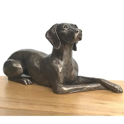 Image of Animal Crackers 23.5cm cold Cast Bronze Weimaraner ornament figurine by Harriet Glen, heavy weight and to the feel, beautiful Dog Lover Gift or collectable