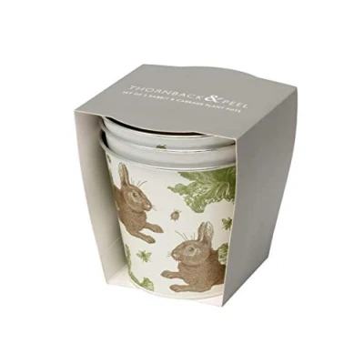Image of Thornback &amp; Peel Rabbit Cabbage Set of 3 Flower Pots
