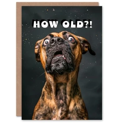 Image of Artery8 Birthday Card Shocked Boxer Dog Photo How Old Funny Joke Cheeky For Him Her Man Woman Girl Boy Wife Husband Greeting