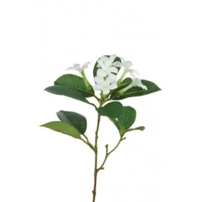 Image of Ferris Heart Sloane Luxury Artificial NEW White Stephanotis Stem 71cm tall, Wild Flowers, Floral Decor